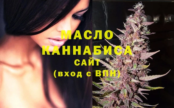 прущие крисы Горняк