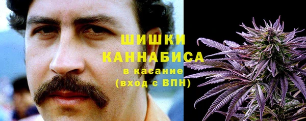 винт Гусев