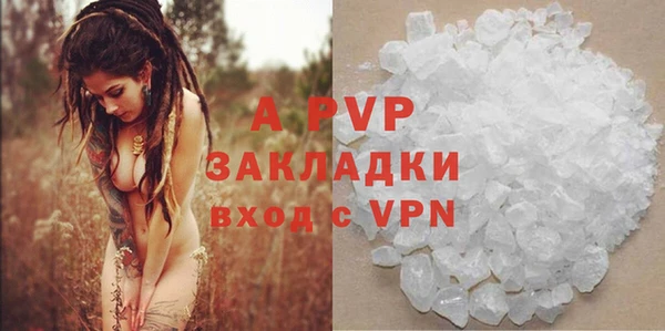 прущие крисы Горняк