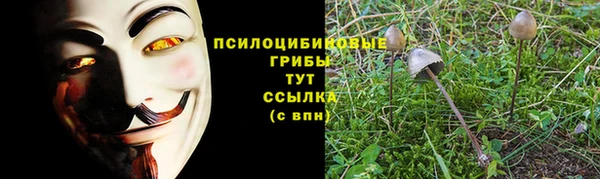 мет Гусь-Хрустальный