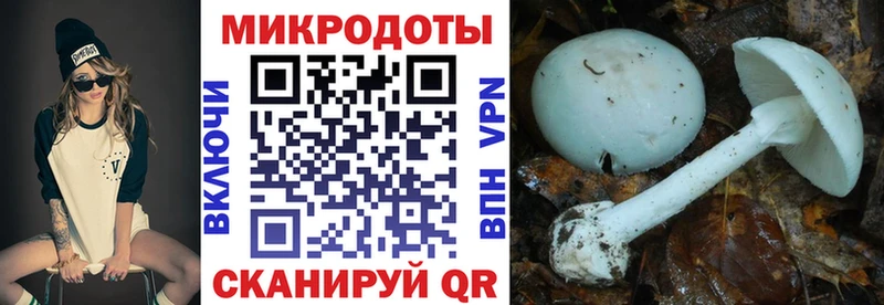 площадка официальный сайт  закладки  Гаврилов-Ям  Галлюциногенные грибы мицелий 